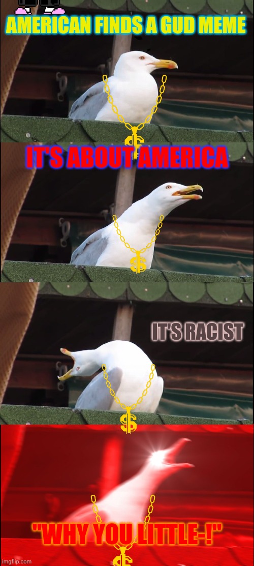 America Seagull | AMERICAN FINDS A GUD MEME; IT'S ABOUT AMERICA; IT'S RACIST; "WHY YOU LITTLE-!" | image tagged in memes,inhaling seagull | made w/ Imgflip meme maker
