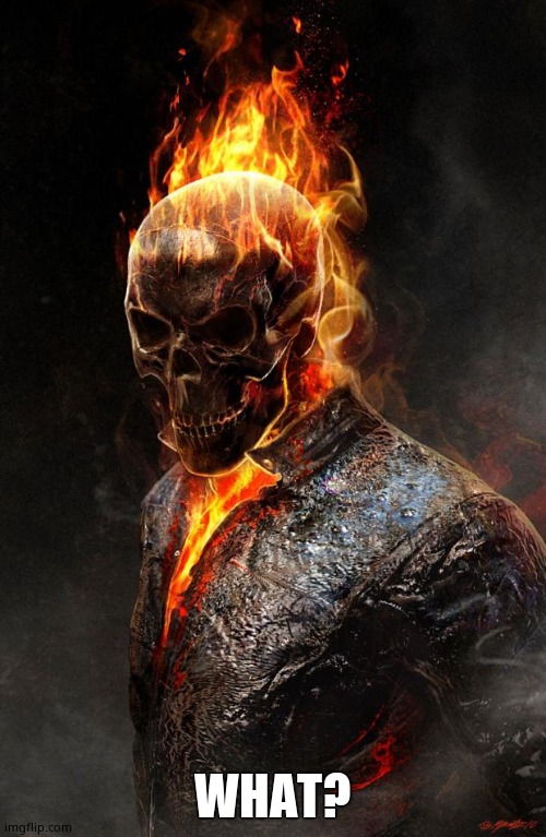 Ghost Rider | WHAT? | image tagged in ghost rider | made w/ Imgflip meme maker