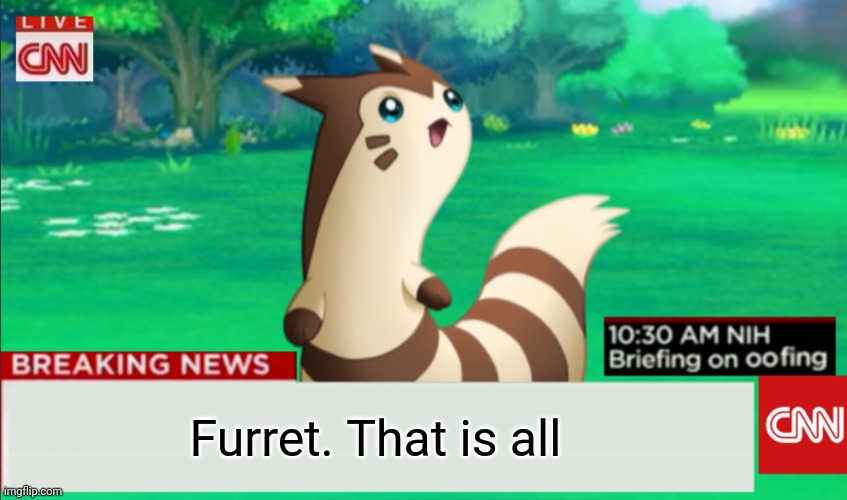 Breaking News Furret | Furret. That is all | image tagged in breaking news furret | made w/ Imgflip meme maker