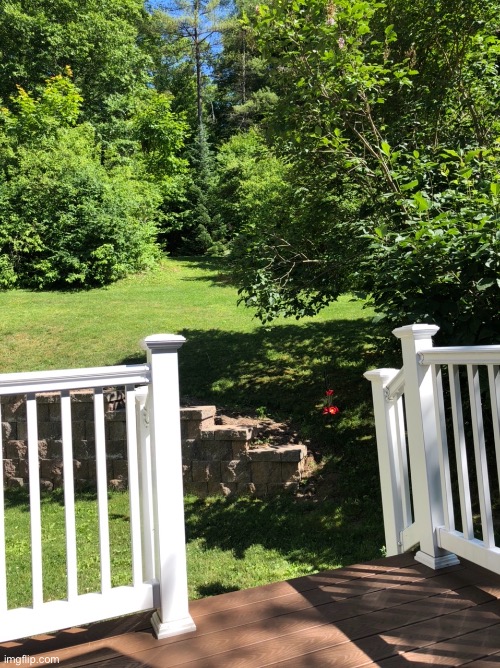 Just got done mowing (parts for the rider should be here tomorrow while I’m away) | image tagged in whew,happy tired | made w/ Imgflip meme maker