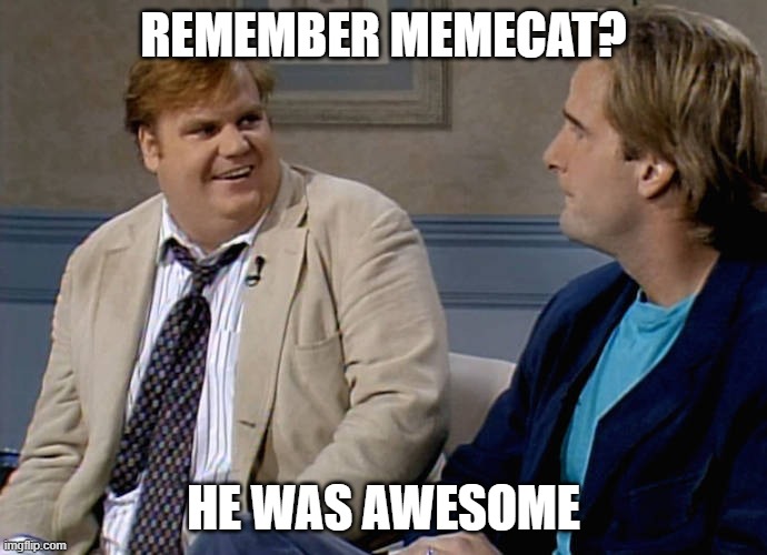 But he couldn't become a meme. I tried to put him in a text box and it got distorted. | REMEMBER MEMECAT? HE WAS AWESOME | image tagged in remember that time,meme,memecat,old | made w/ Imgflip meme maker
