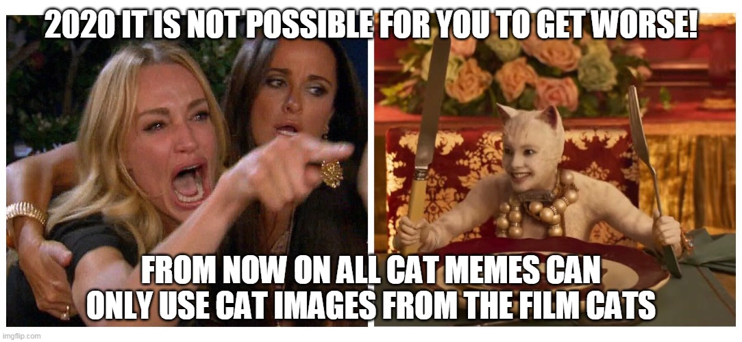 catsmeme | 2020 IT IS NOT POSSIBLE FOR YOU TO GET WORSE! FROM NOW ON ALL CAT MEMES CAN ONLY USE CAT IMAGES FROM THE FILM CATS | image tagged in catsmeme | made w/ Imgflip meme maker