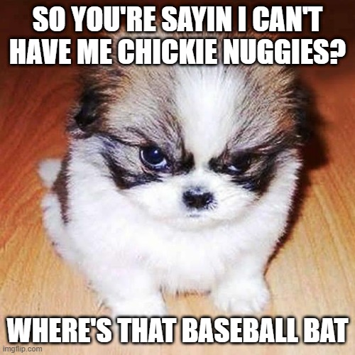 why are you not letting him have his chickie nuggies? | SO YOU'RE SAYIN I CAN'T HAVE ME CHICKIE NUGGIES? WHERE'S THAT BASEBALL BAT | image tagged in angry puppy | made w/ Imgflip meme maker