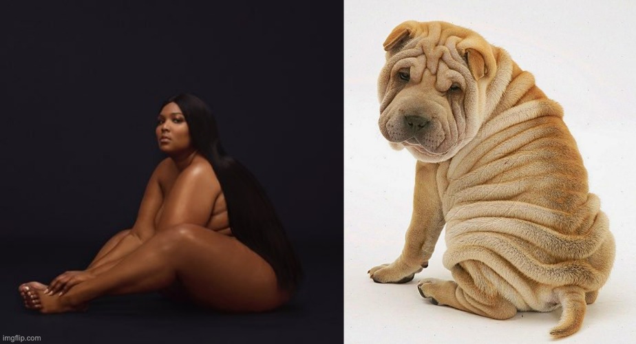 Caption this meme | image tagged in lizzo vs pitbull,fat,celebrity,cute pitbull,memes,expectation vs reality | made w/ Imgflip meme maker