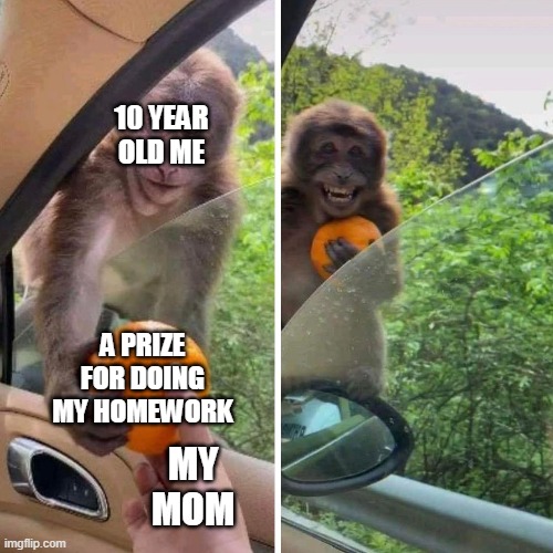 Monkey Orange | 10 YEAR OLD ME; A PRIZE FOR DOING MY HOMEWORK; MY MOM | image tagged in monkey orange | made w/ Imgflip meme maker