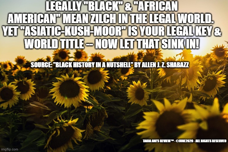 Legal Name | LEGALLY "BLACK" & "AFRICAN AMERICAN" MEAN ZILCH IN THE LEGAL WORLD. 

YET "ASIATIC-KUSH-MOOR" IS YOUR LEGAL KEY & WORLD TITLE -- NOW LET THAT SINK IN! SOURCE: "BLACK HISTORY IN A NUTSHELL" BY ALLEN J. Z. SHABAZZ; TABIA ANI'S REVIEW™ - ©JUNE2020 - ALL RIGHTS RESERVED | image tagged in asian | made w/ Imgflip meme maker