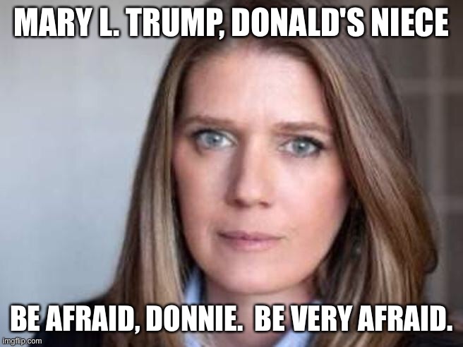 She knows where all the bodies are buried | MARY L. TRUMP, DONALD'S NIECE; BE AFRAID, DONNIE.  BE VERY AFRAID. | image tagged in mary l trump | made w/ Imgflip meme maker