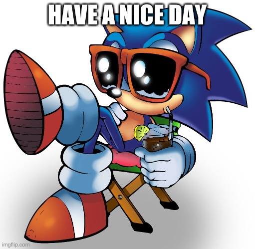 HAVE A NICE DAY | image tagged in sonic chilling | made w/ Imgflip meme maker