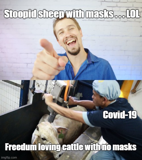 sheep & cattle | Stoopid sheep with masks . . . LOL; Covid-19; Freedum loving cattle with no masks | image tagged in covid-19,masks | made w/ Imgflip meme maker