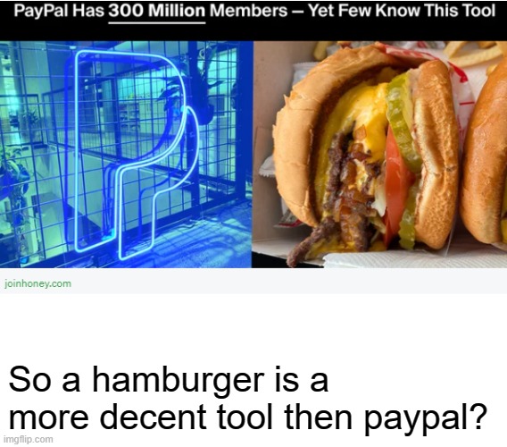 So a hamburger is a more decent tool then paypal? | image tagged in blank white template,reddit ad,paypal,memes,funny,dastarminer awesome memes | made w/ Imgflip meme maker
