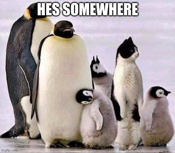Intruder | HES SOMEWHERE | image tagged in intruder | made w/ Imgflip meme maker