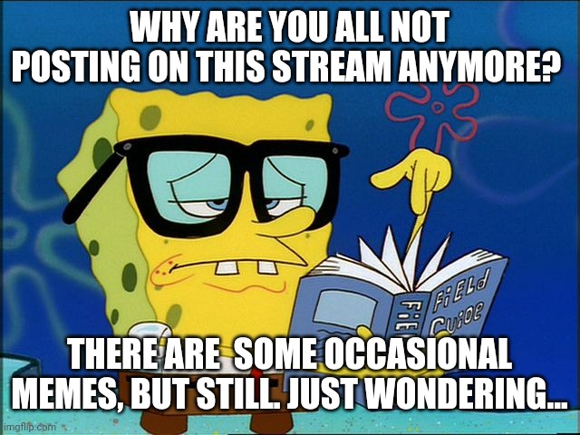 Spongebob nerd | WHY ARE YOU ALL NOT POSTING ON THIS STREAM ANYMORE? THERE ARE  SOME OCCASIONAL MEMES, BUT STILL. JUST WONDERING... | image tagged in spongebob nerd | made w/ Imgflip meme maker
