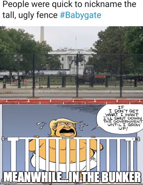 Babygate | MEANWHILE...IN THE BUNKER | image tagged in trump bunker,trump watergate,bolton trump book,trump bunker meme,trump west point meme | made w/ Imgflip meme maker