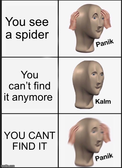 When you can’t find a spider | You see a spider; You can’t find it anymore; YOU CANT FIND IT | image tagged in memes,panik kalm panik | made w/ Imgflip meme maker