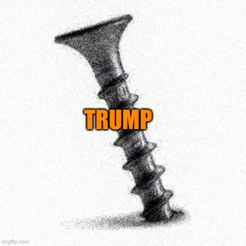 SCREWED | TRUMP | image tagged in screwed | made w/ Imgflip meme maker