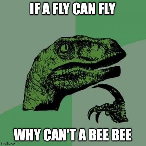 Philosoraptor | IF A FLY CAN FLY; WHY CAN'T A BEE BEE | image tagged in memes,philosoraptor | made w/ Imgflip meme maker
