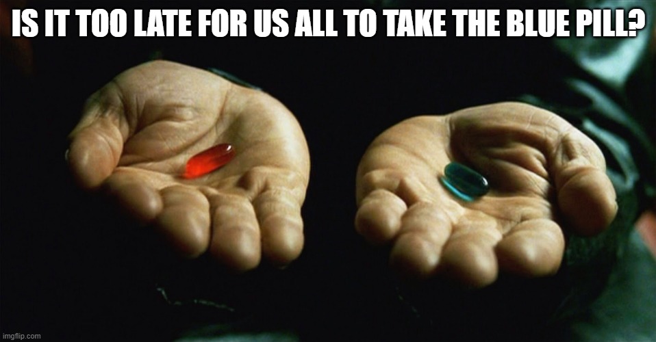 Red pill blue pill | IS IT TOO LATE FOR US ALL TO TAKE THE BLUE PILL? | image tagged in red pill blue pill | made w/ Imgflip meme maker
