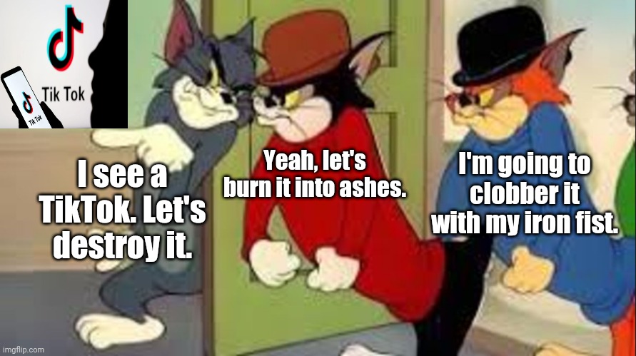 Destroy TikTok | Yeah, let's burn it into ashes. I'm going to clobber it with my iron fist. I see a TikTok. Let's destroy it. | image tagged in tom and jerry goons,tiktok,tik tok,memes,meme,funny | made w/ Imgflip meme maker