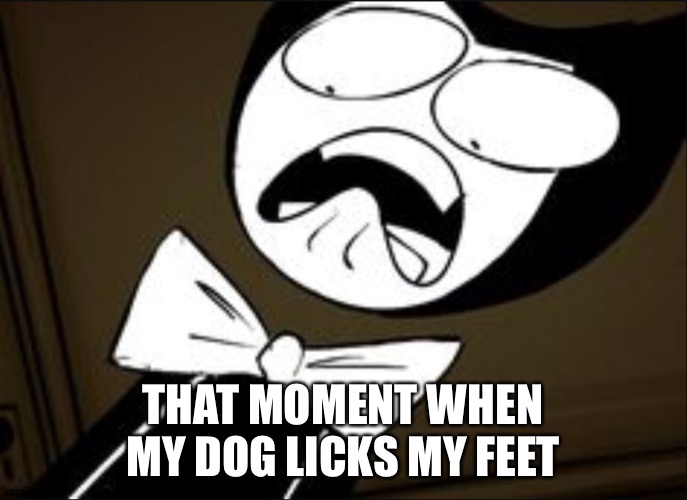 SHOCKED BENDY | THAT MOMENT WHEN MY DOG LICKS MY FEET | image tagged in shocked bendy | made w/ Imgflip meme maker