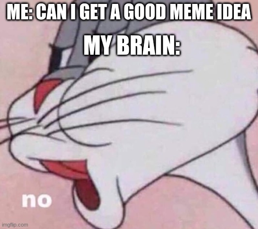 No bugs bunny | MY BRAIN:; ME: CAN I GET A GOOD MEME IDEA | image tagged in no bugs bunny | made w/ Imgflip meme maker