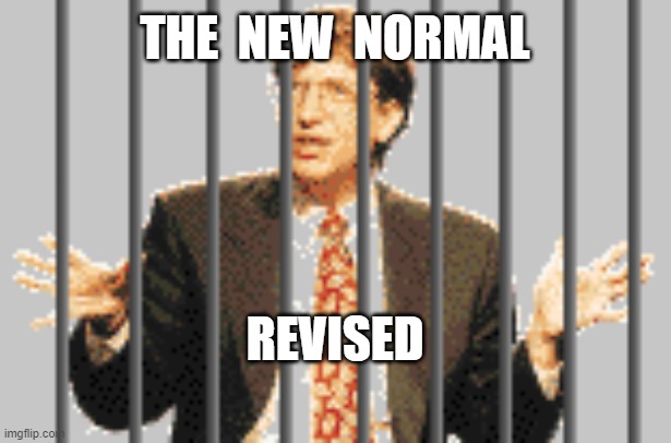 THE  NEW  NORMAL; REVISED | image tagged in bill gates,the new normal,depopulation | made w/ Imgflip meme maker