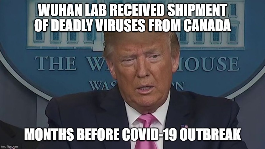 Wuhan lab received 'shipment of deadliest viruses' from Canada months before Covid-19 outbreak | WUHAN LAB RECEIVED SHIPMENT OF DEADLY VIRUSES FROM CANADA; MONTHS BEFORE COVID-19 OUTBREAK | image tagged in if only you knew how bad things really are | made w/ Imgflip meme maker