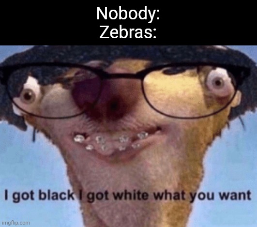Z e b r a s | Nobody:
Zebras: | image tagged in i got black i got white what ya want | made w/ Imgflip meme maker