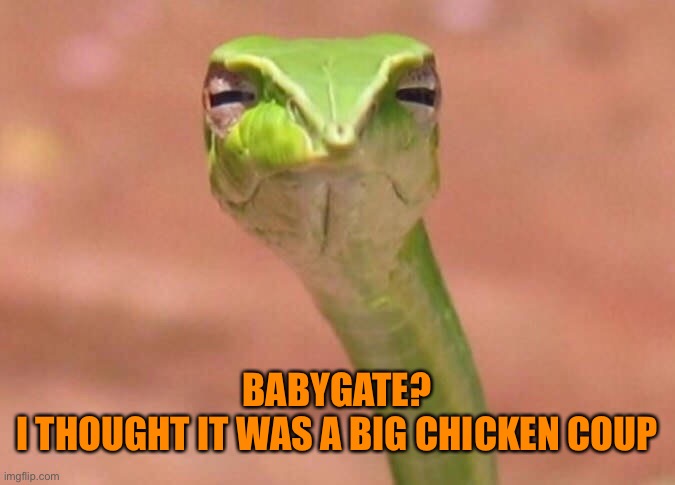 Skeptical snake | BABYGATE? 
I THOUGHT IT WAS A BIG CHICKEN COUP | image tagged in skeptical snake | made w/ Imgflip meme maker