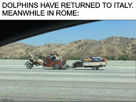 First vinyl came back, now this? | DOLPHINS HAVE RETURNED TO ITALY.
MEANWHILE IN ROME: | image tagged in roman,vehicle,italy | made w/ Imgflip meme maker