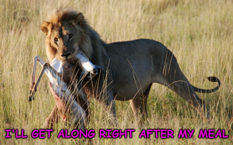 I'LL GET ALONG RIGHT AFTER MY MEAL | made w/ Imgflip meme maker