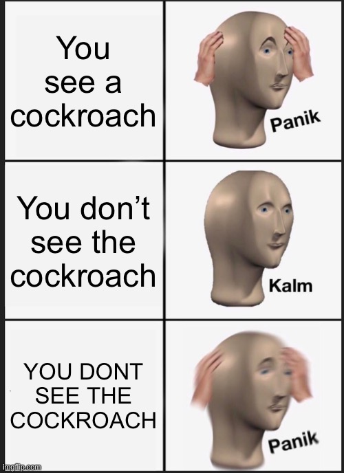 Panik Kalm Panik | You see a cockroach; You don’t see the cockroach; YOU DONT SEE THE COCKROACH | image tagged in memes,panik kalm panik | made w/ Imgflip meme maker