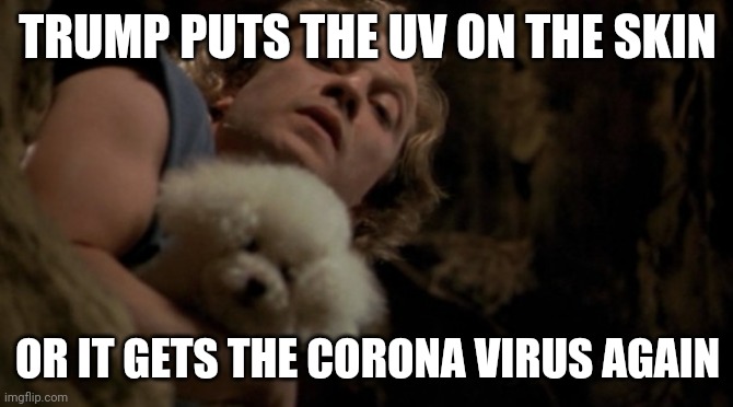 UV-See | TRUMP PUTS THE UV ON THE SKIN; OR IT GETS THE CORONA VIRUS AGAIN | image tagged in silence of the lambs lotion | made w/ Imgflip meme maker