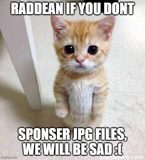 Cute Cat Meme | RADDEAN IF YOU DONT; SPONSER JPG FILES, WE WILL BE SAD :( | image tagged in memes,cute cat | made w/ Imgflip meme maker