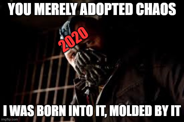 2020 Chaos | YOU MERELY ADOPTED CHAOS; 2020; I WAS BORN INTO IT, MOLDED BY IT | image tagged in you merely adopted x i was born in it molded by it | made w/ Imgflip meme maker