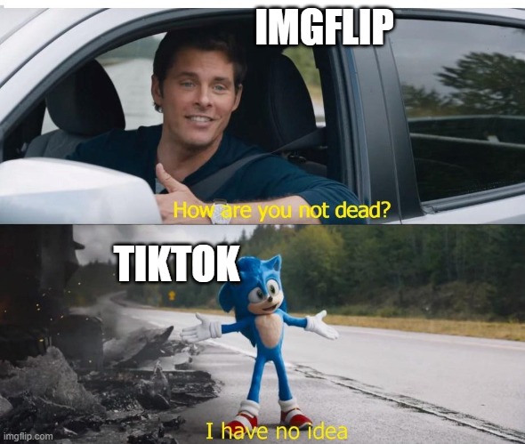 hmm? | IMGFLIP; TIKTOK | image tagged in sonic how are you not dead,idk | made w/ Imgflip meme maker