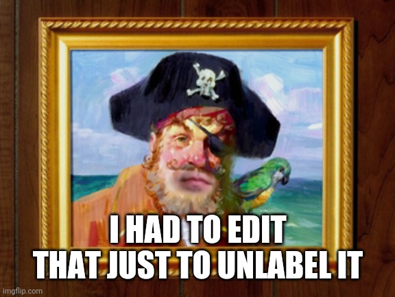 Painty the Pirate | I HAD TO EDIT THAT JUST TO UNLABEL IT | image tagged in painty the pirate | made w/ Imgflip meme maker