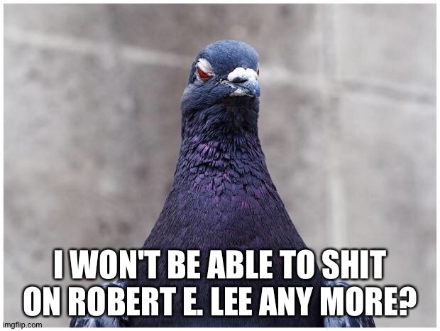 Hatred Pigeon | I WON'T BE ABLE TO SHIT ON ROBERT E. LEE ANY MORE? | image tagged in hatred pigeon | made w/ Imgflip meme maker