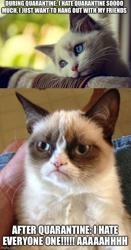 DURING QUARANTINE: I HATE QUARANTINE SOOOO MUCH, I JUST WANT TO HANG OUT WITH MY FRIENDS; AFTER QUARANTINE: I HATE EVERYONE ONE!!!!! AAAAAHHHH | image tagged in memes,first world problems cat,grumpy cat | made w/ Imgflip meme maker