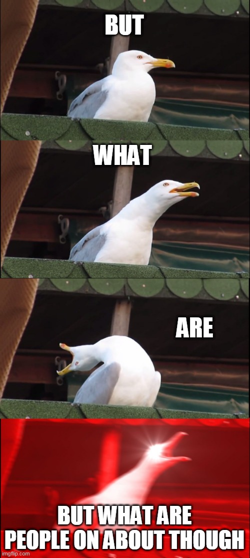 Inhaling Seagull Meme | BUT; WHAT; ARE; BUT WHAT ARE PEOPLE ON ABOUT THOUGH | image tagged in memes,inhaling seagull | made w/ Imgflip meme maker