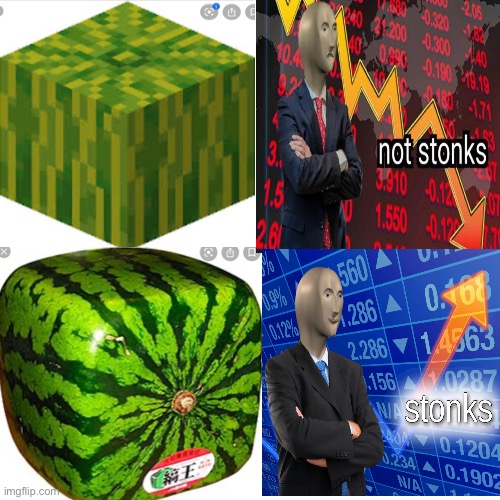 image tagged in watermelon,stonks,not stonks,memes,funny,minecraft | made w/ Imgflip meme maker