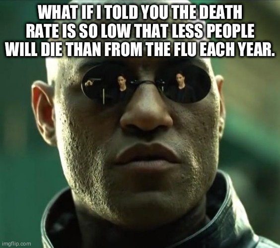 Morpheus  | WHAT IF I TOLD YOU THE DEATH RATE IS SO LOW THAT LESS PEOPLE WILL DIE THAN FROM THE FLU EACH YEAR. | image tagged in morpheus | made w/ Imgflip meme maker