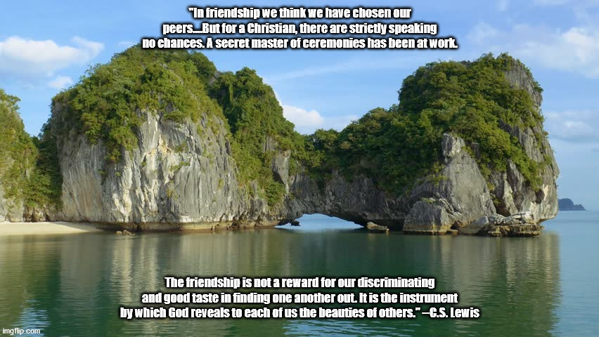 Friendship | "In friendship we think we have chosen our peers....But for a Christian, there are strictly speaking no chances. A secret master of ceremonies has been at work. The friendship is not a reward for our discriminating and good taste in finding one another out. It is the instrument by which God reveals to each of us the beauties of others." --C.S. Lewis | image tagged in memes | made w/ Imgflip meme maker