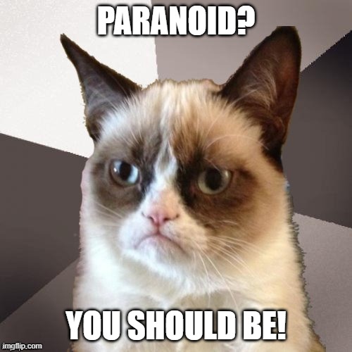 Musically Malicious Grumpy Cat | PARANOID? YOU SHOULD BE! | image tagged in musically malicious grumpy cat,grumpy cat,paranoid,black sabbath,grumpy cat not amused | made w/ Imgflip meme maker