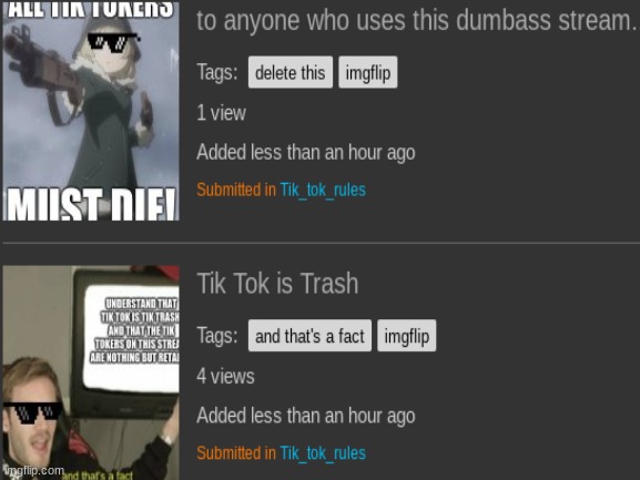 I'm now gonna raid the Tik_tok_rules stream | image tagged in imgflip,tik tok | made w/ Imgflip meme maker
