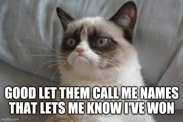 Grumpy cat | GOOD LET THEM CALL ME NAMES
THAT LETS ME KNOW I'VE WON | image tagged in grumpy cat | made w/ Imgflip meme maker