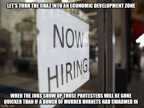 The horror | LET'S TURN THE CHAZ INTO AN ECONOMIC DEVELOPMENT ZONE; WHEN THE JOBS SHOW UP THOSE PROTESTERS WILL BE GONE QUICKER THAN IF A BUNCH OF MURDER HORNETS HAD SWARMED IN | image tagged in help wanted | made w/ Imgflip meme maker