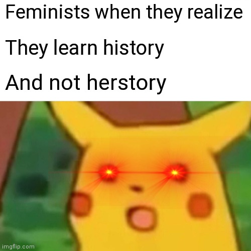 I forgot if this is original, or if I got it from a video | Feminists when they realize; They learn history; And not herstory | image tagged in memes,surprised pikachu | made w/ Imgflip meme maker