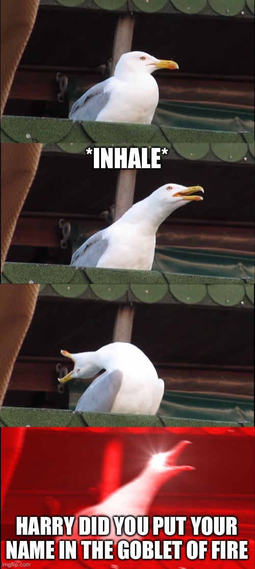 Inhaling Seagull | *INHALE*; HARRY DID YOU PUT YOUR NAME IN THE GOBLET OF FIRE | image tagged in memes,inhaling seagull | made w/ Imgflip meme maker
