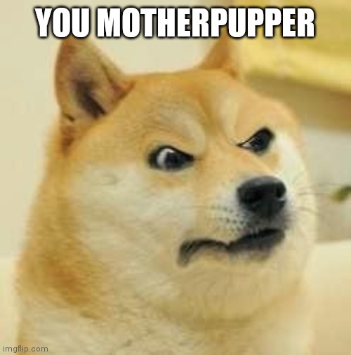 Get it? Mother puppers instead of motherf**er? | YOU MOTHERPUPPER | image tagged in angry doge | made w/ Imgflip meme maker