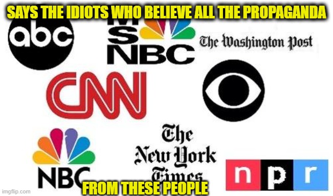 Lib mainstream media | SAYS THE IDIOTS WHO BELIEVE ALL THE PROPAGANDA FROM THESE PEOPLE | image tagged in lib mainstream media | made w/ Imgflip meme maker